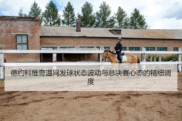 de-yue-ke-wei-qi-wen-wang-fa-qiu-zhuang-tai-bo-dong-yu-zong-jue-sai-xin-tai-de-jing-xi-diao-du-2-133.jpg